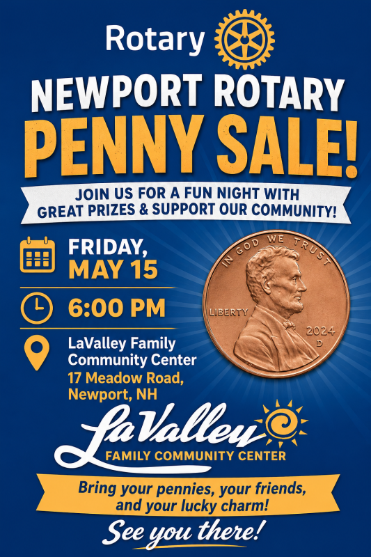 Rotary Penny Sale