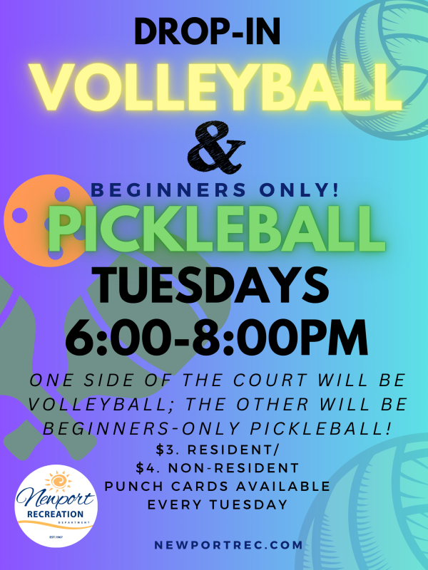 Volleyball Pickleball
