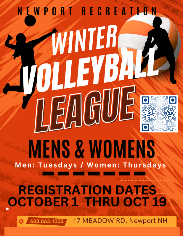 Volleyball League